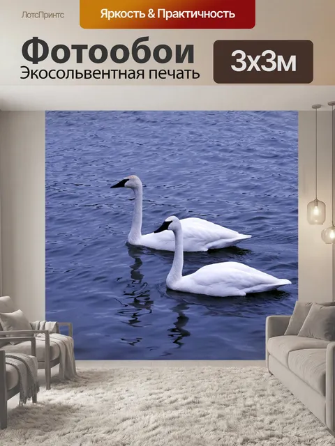 Фотообои Птицы