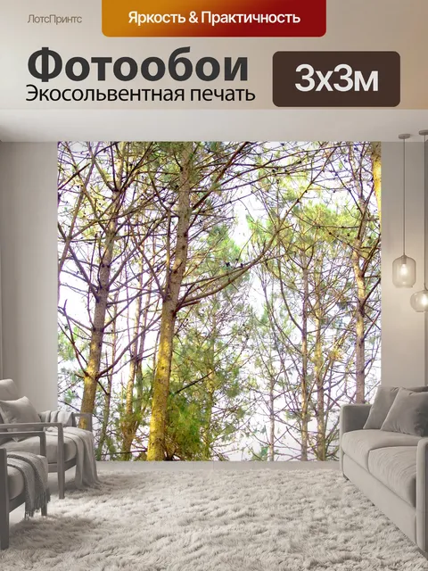 Фотообои Сосновый лес