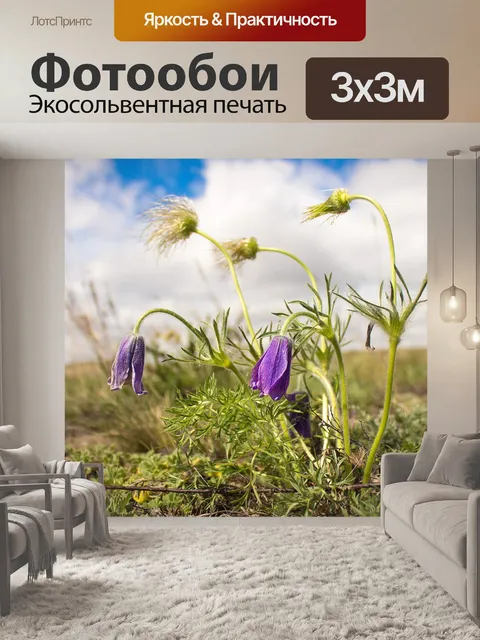 Фотообои Цветы