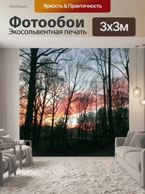 Фотообои Ранний весенний закат