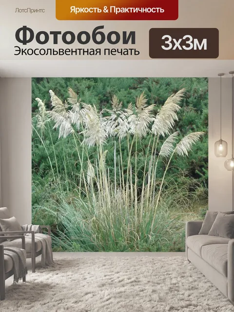 Фотообои Высокий пампа травы