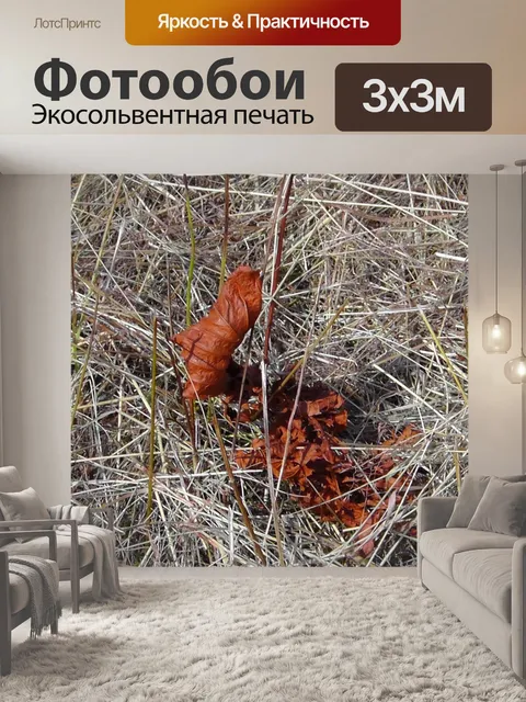 Фотообои Лист