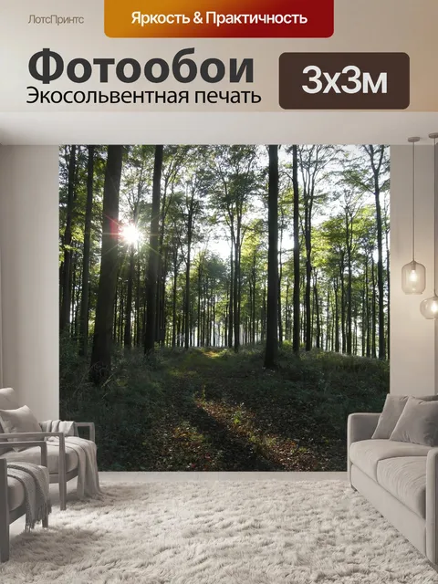 Фотообои Лес