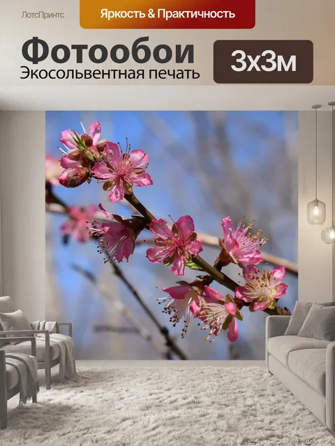 Фотообои Цветы персика