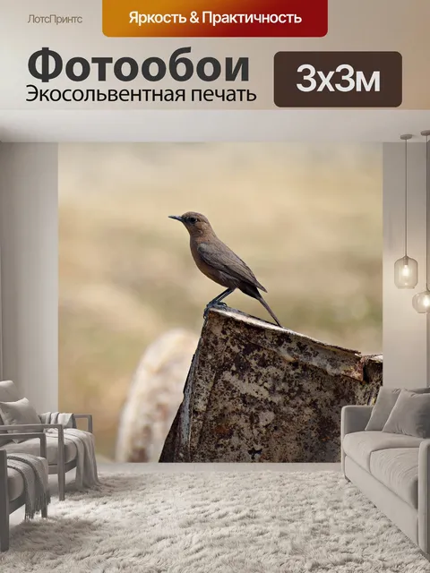 Фотообои Птица