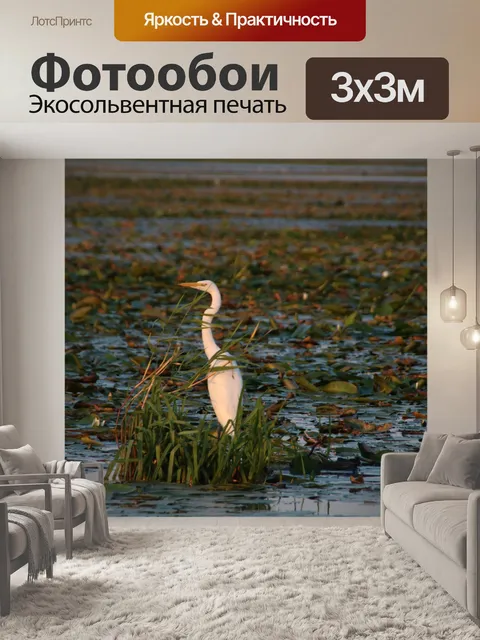Фотообои Цапля