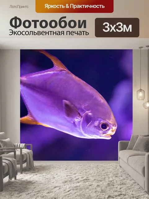 Фотообои Рыба