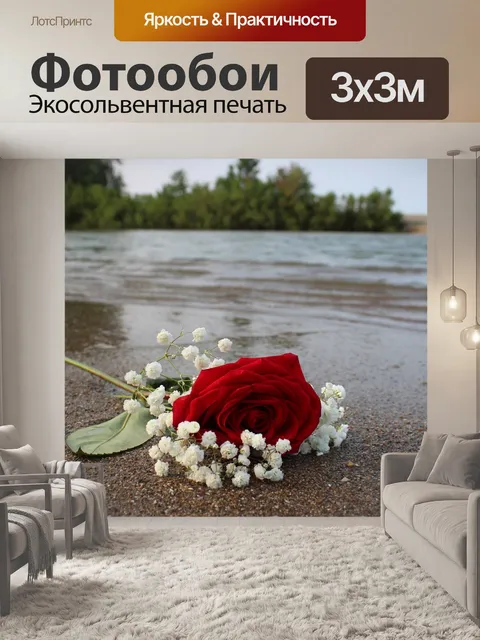 Фотообои Роза