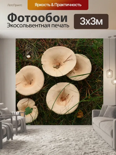 Фотообои Грибы