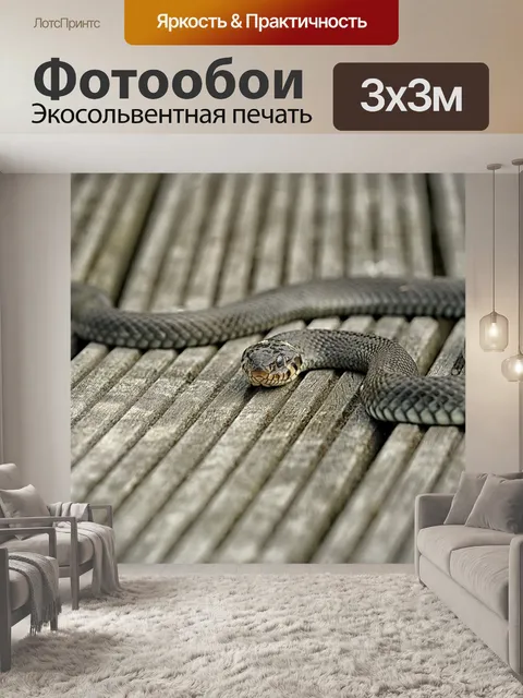 Фотообои Линия