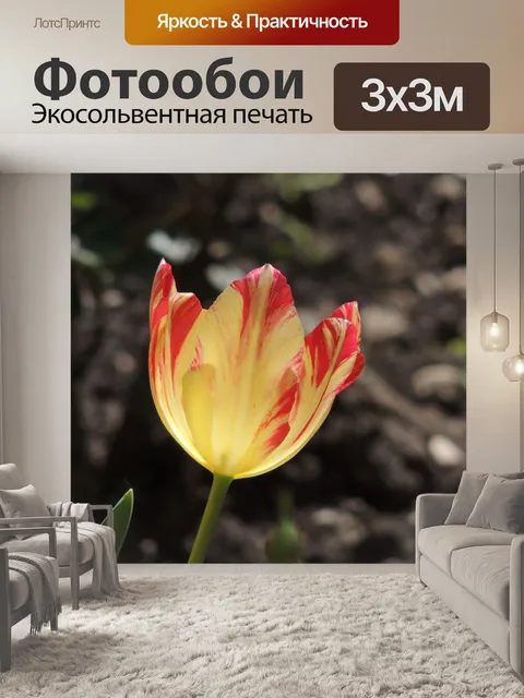 Фотообои Весна