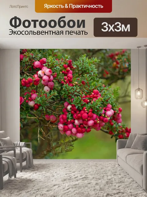 Фотообои Красные ягоды