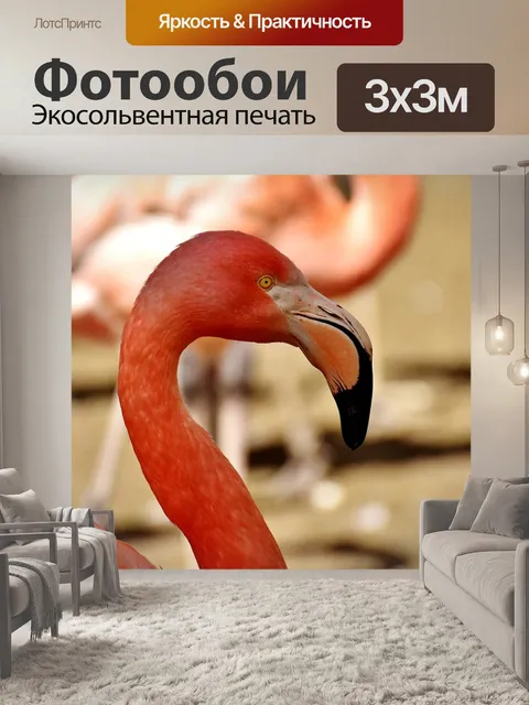 Фотообои Фламинго