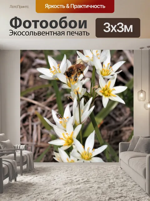 Фотообои Ложные чеснок Полевые цветы и пчела