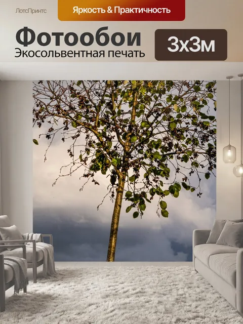 Фотообои Дерево