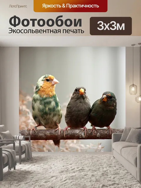 Фотообои Птица