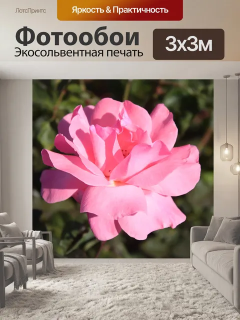 Фотообои Розовые розы bloom