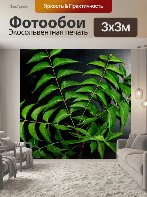 Фотообои Листья нима