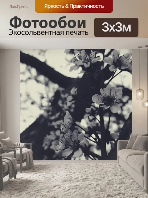Фотообои Чернить