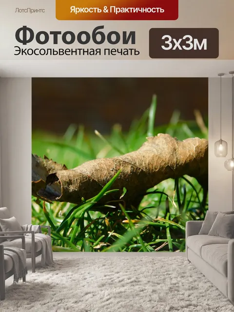 Фотообои Листья