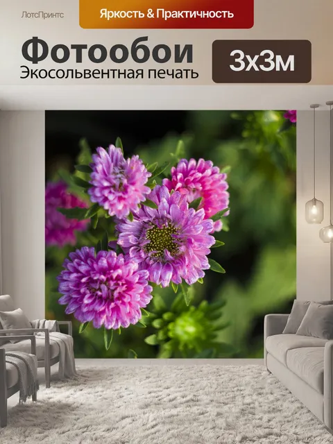 Фотообои Фиолетовый
