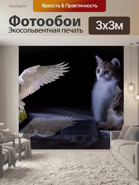 Фотообои Кошки