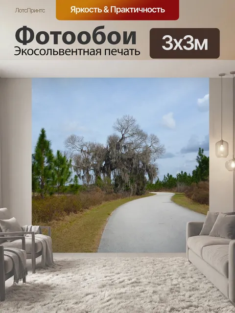 Фотообои Дороги