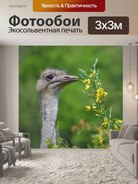 Фотообои Страус