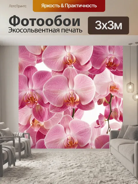 Фотообои Розовые орхидеи крупным планом