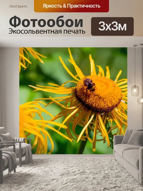 Фотообои Цветы