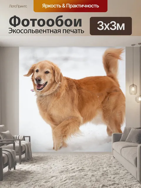 Фотообои Собака