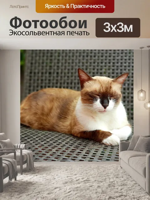 Фотообои Милый
