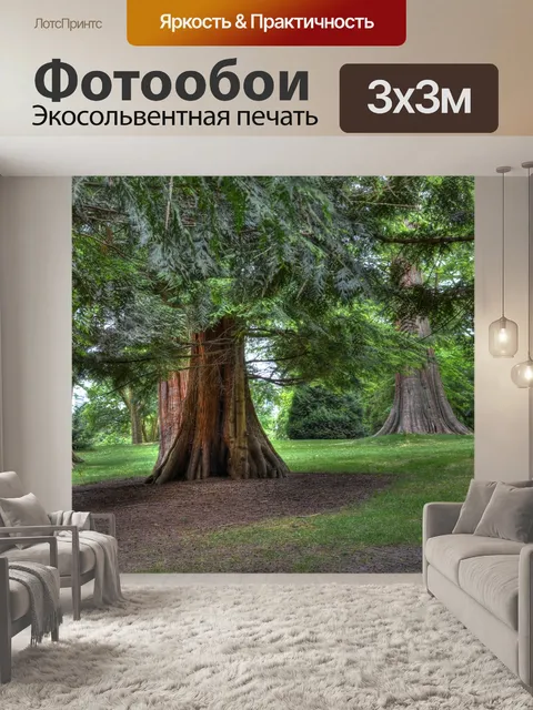 Фотообои Дерево