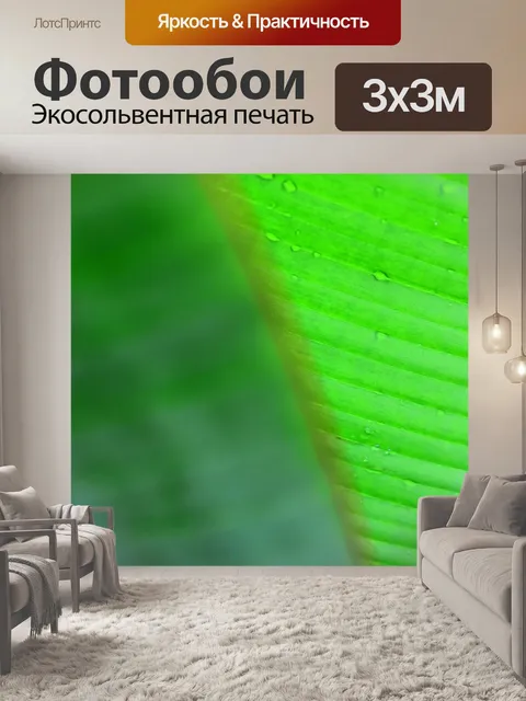 Фотообои Зеленый лист банан