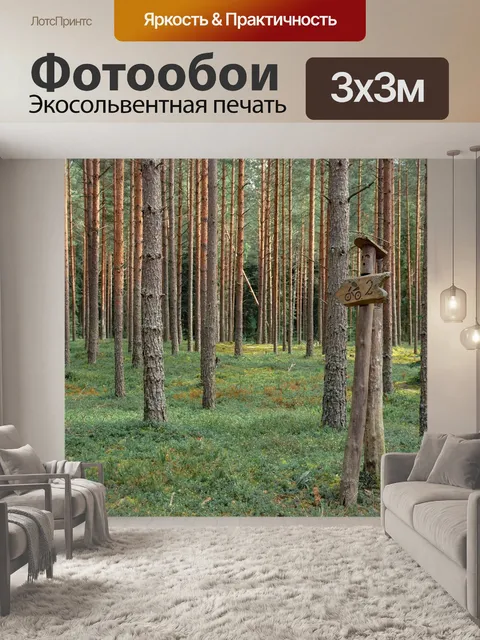 Фотообои Лес
