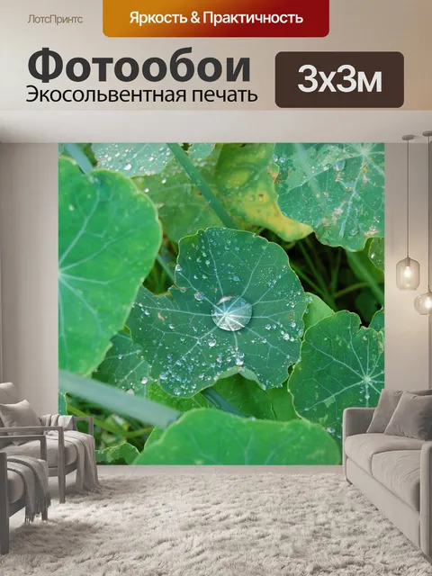 Фотообои Лист