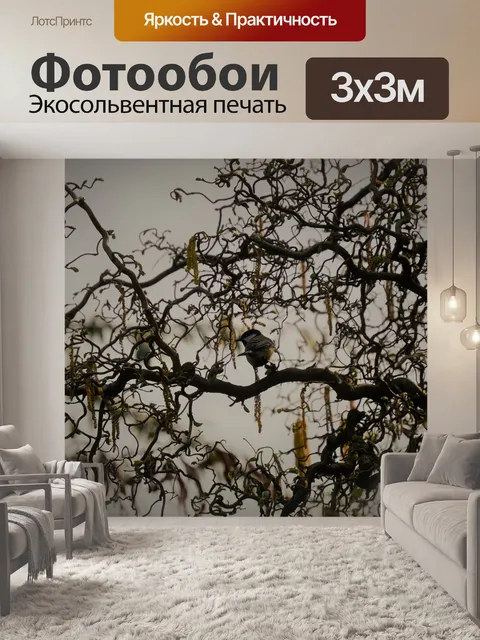 Фотообои Птица