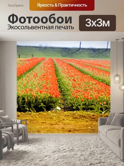 Фотообои Тюльпан поля