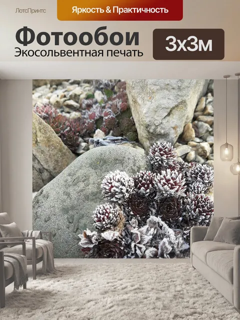 Фотообои Сочный