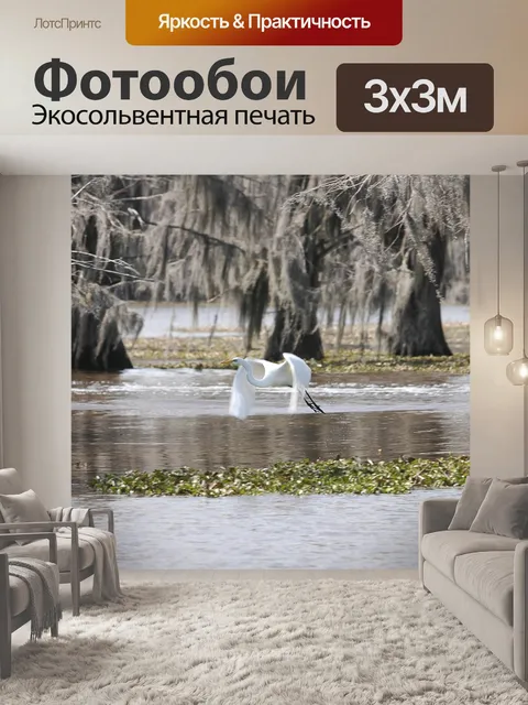 Фотообои Байу