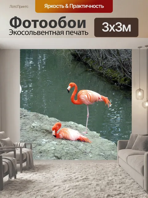Фотообои Фламинго