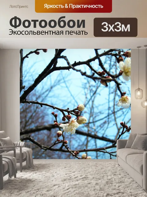 Фотообои Цветок