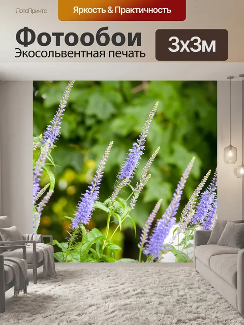 Фотообои Лаванда