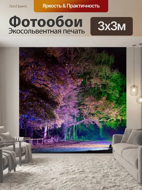 Фотообои Световая деревья ночью
