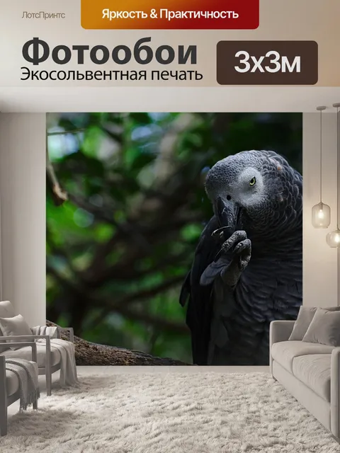 Фотообои Птица