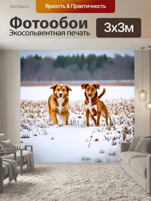 Фотообои собаки, играющие в снежки на зимней поляне