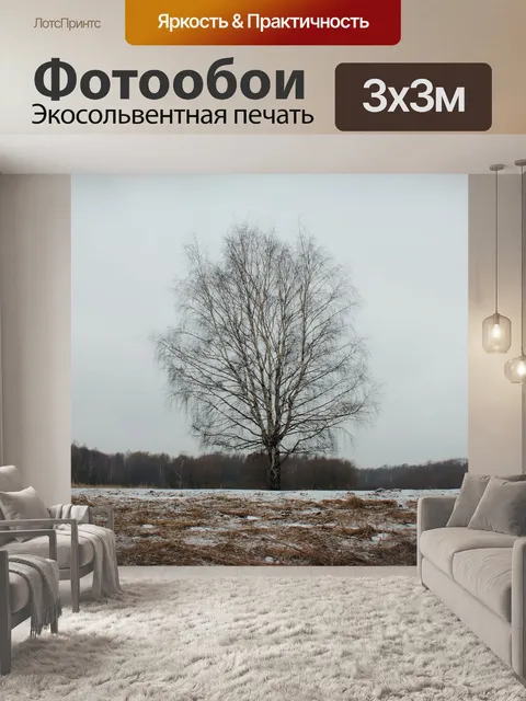 Фотообои Лес