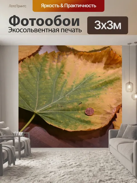 Фотообои Горный вяз
