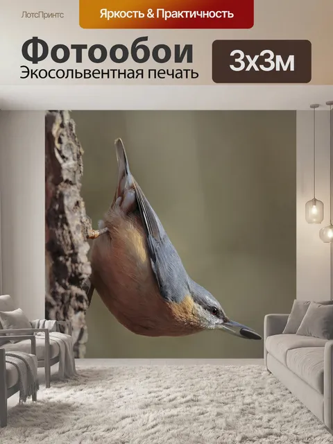 Фотообои Дятел