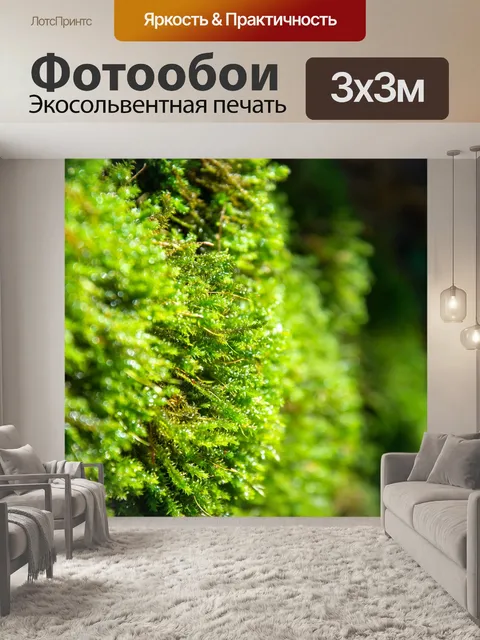 Фотообои Мох
